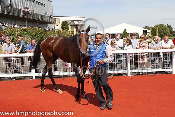 01st Change Of Velocity and K J Manning ( 1 , royal blue, dark blue seams ) Trainer - J S Bolger , Owner - Godolphin