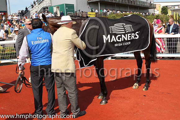 01st Change Of Velocity and K J Manning ( 1 , royal blue, dark blue seams ) Trainer - J S Bolger , Owner - Godolphin