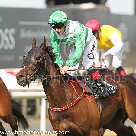 01st Last Garrison and D P McDonogh ( 8 , green and white hoops ) Trainer - M M McNiff , Owner - Atlantic Wave Syndicate