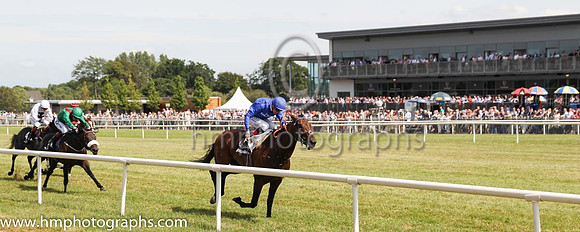 01st Change Of Velocity and K J Manning ( 1 , royal blue, dark blue seams ) Trainer - J S Bolger , Owner - Godolphin