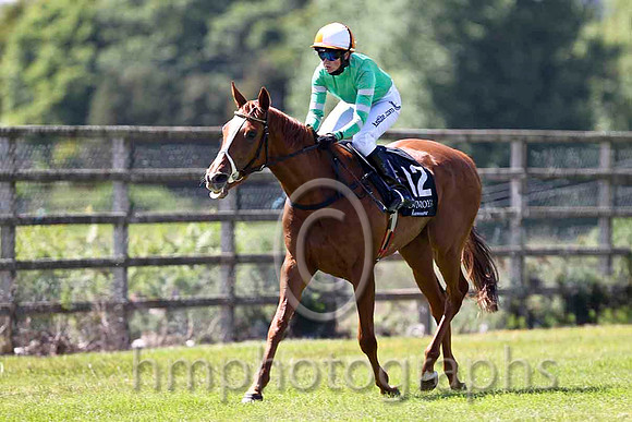 Chinook River 10th, Jockey Karen Kenny - FT8E1273-e
