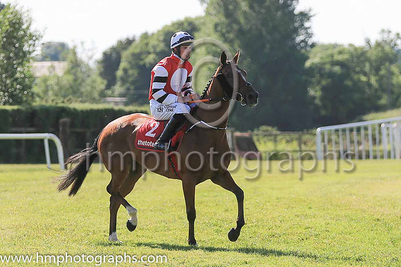 04th Osco Mosco and J W Kennedy ( 2 , red, white disc ) Trainer - G Elliott , Owner - Nelius O'Keeffe