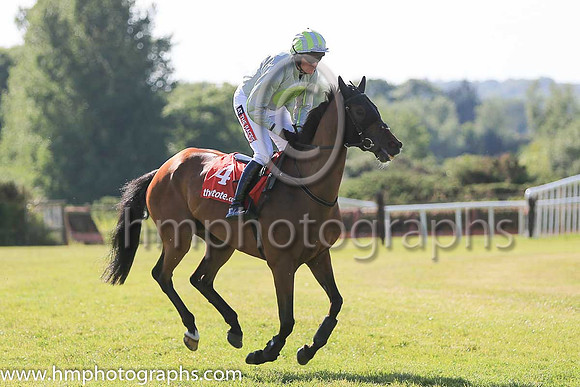 02nd Holding Pattern and B J Geraghty ( 4 , grey, light green disc ) Trainer - Mrs J Harrington , Owner - Ms Orla O'Connor