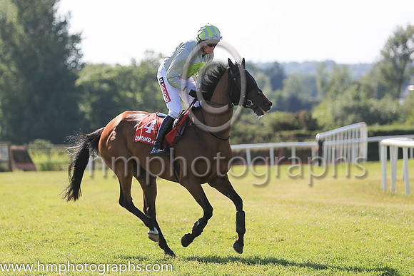 02nd Holding Pattern and B J Geraghty ( 4 , grey, light green disc ) Trainer - Mrs J Harrington , Owner - Ms Orla O'Connor