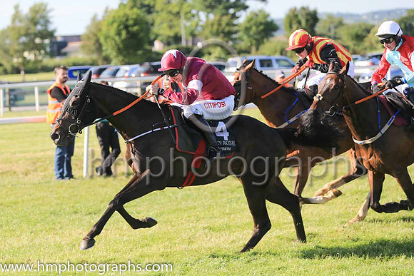 01st Boot Camp and D N Russell ( 4 , maroon, white star ) Trainer - G Elliott , Owner - Gigginstown House Stud