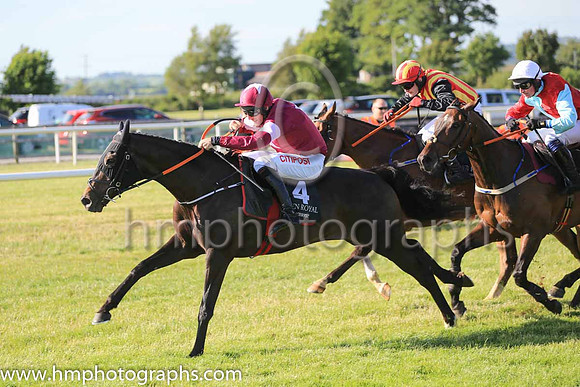 01st Boot Camp and D N Russell ( 4 , maroon, white star ) Trainer - G Elliott , Owner - Gigginstown House Stud