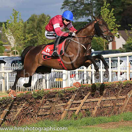 04th Lord Scoundrel and D F O'Regan ( 6 , maroon, white star, blue cap ) Trainer - G Elliott , Owner - Gigginstown House Stud