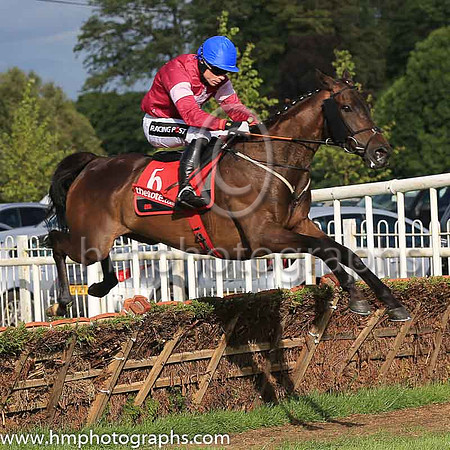 04th Lord Scoundrel and D F O'Regan ( 6 , maroon, white star, blue cap ) Trainer - G Elliott , Owner - Gigginstown House Stud