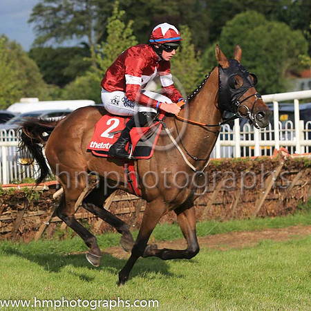 07th Lieutenant Colonel and J W Kennedy ( 2 , maroon, white star ) Trainer - G Elliott , Owner - Gigginstown House Stud