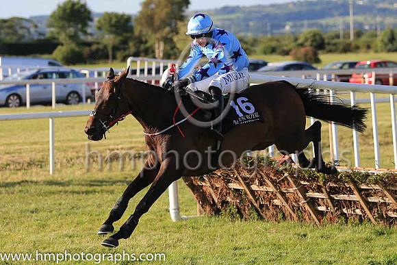 01st Roi De Dubai and D J McInerney 3 ( 16 , light blue, purple stars ) Trainer - J C McConnell , Owner - Ms Caroline Ahearn