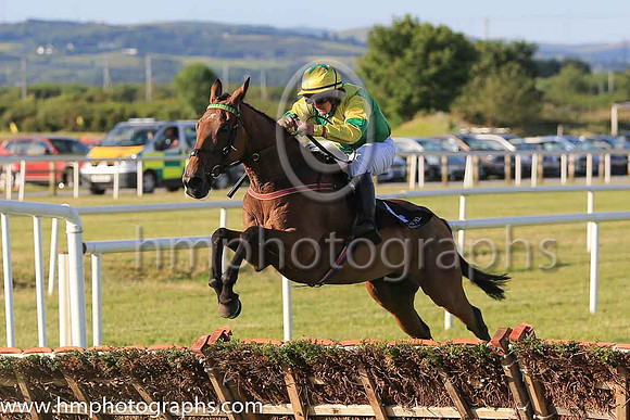 08th War Of The Pennys and Mr E P Keating 7 ( 4 , green, yellow sash ) Trainer - Don Cashman , Owner - Miss Talitha Doran