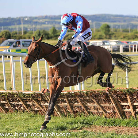 07th Brontide and D E Mullins ( 7 , maroon, light blue star ) Trainer - C O?Dwyer , Owner - Hugo Kane