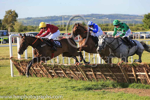 10th Mccrackens Gate and D E Browne 7 ( 15 , maroon, white disc ) Trainer - T Gibney , Owner - C E Falls