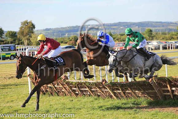 12th Loupgarou and J W Kennedy ( 2 , green,black stars ) Trainer - Mrs J Harrington , Owner - Diarmuid Horgan