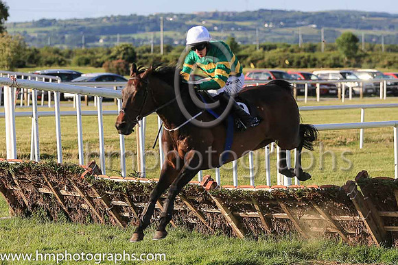 13th Hurricane Sky and M P Walsh ( 9 , orange and green hoops ) Trainer - C O?Brien , Owner - John P McManus