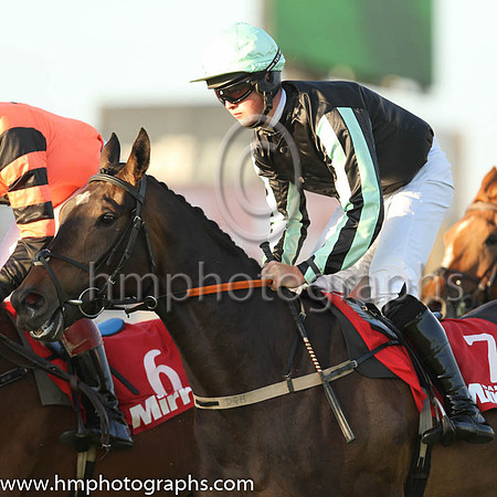 06th Lady Spec and Mr J Hogan 7 ( 7 , black, black and light green stiped sleeves ) Trainer - Denis Hogan , Owner - Donal Mitchell