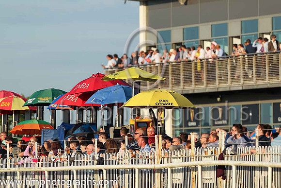 Spectators at Down Royal