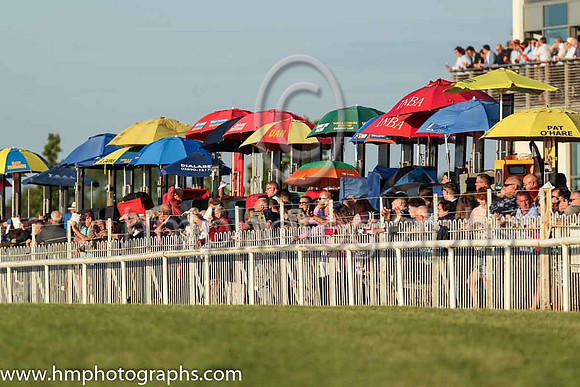Spectators at Down ROyal