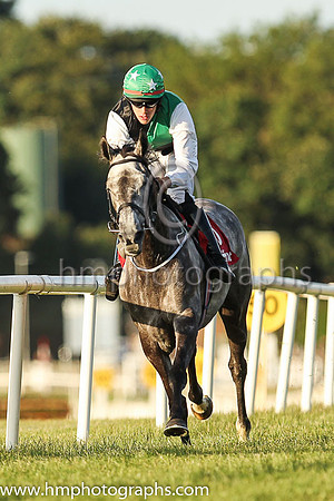 01st Gone Dancin and Mr F Maguire 3 ( 5 , green and black qtrd ) Trainer - D Bunyan , Owner - Shauna Carroll  Daniel Givens