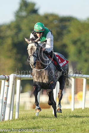 01st Gone Dancin and Mr F Maguire 3 ( 5 , green and black qtrd ) Trainer - D Bunyan , Owner - Shauna Carroll  Daniel Givens