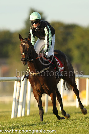 06th Lady Spec and Mr J Hogan 7 ( 7 , black, black and light green stiped sleeves ) Trainer - Denis Hogan , Owner - Donal Mitchell