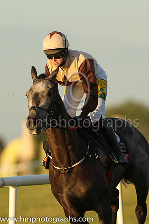 02nd Cats For Cash and Ms L O'Neill 3 ( 5 , beige, brown star ) Trainer - G Elliott , Owner - Liam J Clancy
