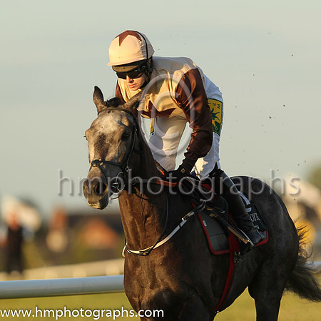 02nd Cats For Cash and Ms L O'Neill 3 ( 5 , beige, brown star ) Trainer - G Elliott , Owner - Liam J Clancy