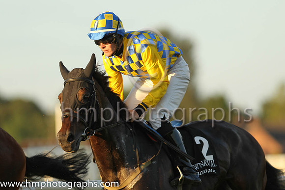 05th Arizengo and Mr W J Gleeson 7 ( 2 , yellow and blue check ) Trainer - H Smyth , Owner - H Smyth