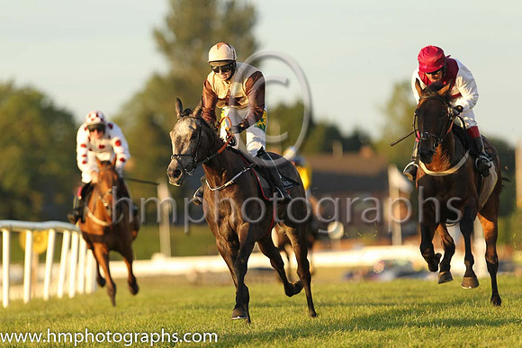 02nd Cats For Cash and Ms L O'Neill 3 ( 5 , beige, brown star ) Trainer - G Elliott , Owner - Liam J Clancy