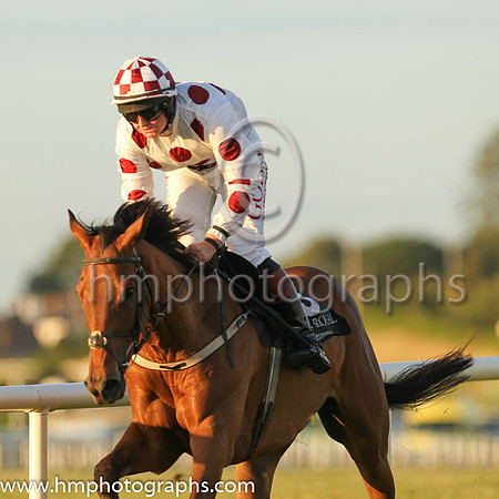04th Lorca's Novena and Mr T Hamilton 5 ( 3 , white, maroon spots ) Trainer - Barry J Murphy , Owner - Miss Sarah J Corcoran