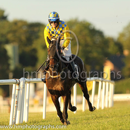 05th Arizengo and Mr W J Gleeson 7 ( 2 , yellow and blue check ) Trainer - H Smyth , Owner - H Smyth
