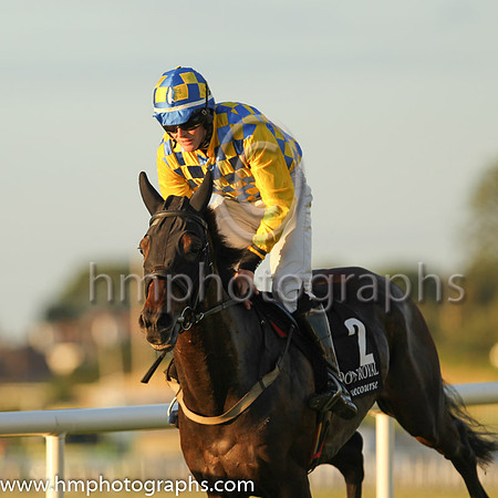 05th Arizengo and Mr W J Gleeson 7 ( 2 , yellow and blue check ) Trainer - H Smyth , Owner - H Smyth