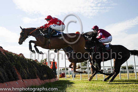 01st Boot Camp and D N Russell ( 4 , maroon, white star ) Trainer - G Elliott , Owner - Gigginstown House Stud
