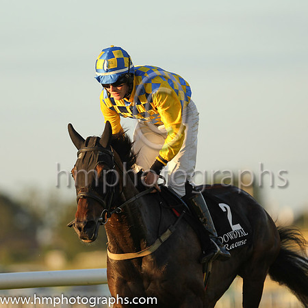 05th Arizengo and Mr W J Gleeson 7 ( 2 , yellow and blue check ) Trainer - H Smyth , Owner - H Smyth
