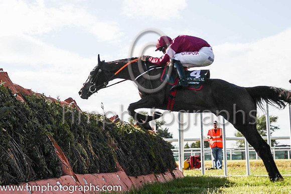 01st Boot Camp and D N Russell ( 4 , maroon, white star ) Trainer - G Elliott , Owner - Gigginstown House Stud