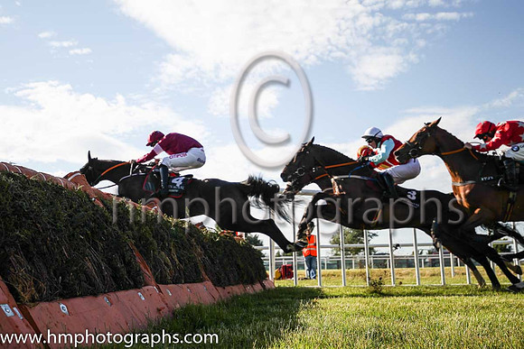 01st Boot Camp and D N Russell ( 4 , maroon, white star ) Trainer - G Elliott , Owner - Gigginstown House Stud