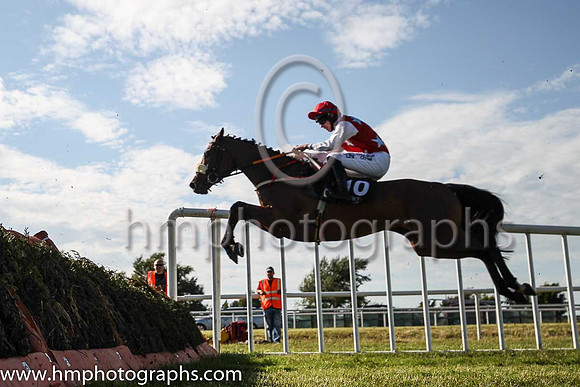 08th Dunloe Lady and J W Kennedy ( 10 , red, blue stars ) Trainer - Peter Fahey , Owner - J A O?Sullivan
