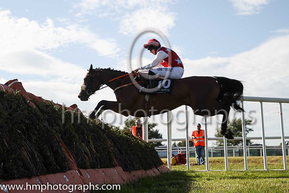 08th Dunloe Lady and J W Kennedy ( 10 , red, blue stars ) Trainer - Peter Fahey , Owner - J A O?Sullivan