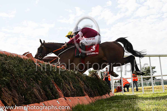 07th Lieutenant Colonel and J W Kennedy ( 2 , maroon, white star ) Trainer - G Elliott , Owner - Gigginstown House Stud