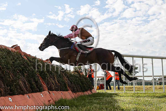 03rd Chateau Conti and J J Slevin ( 1 , brown, pink sleeves ) Trainer - Joseph P O'Brien , Owner - Rugby  Racing Syndicate