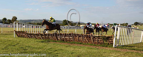 08th War Of The Pennys and Mr E P Keating 7 ( 4 , green, yellow sash ) Trainer - Don Cashman , Owner - Miss Talitha Doran