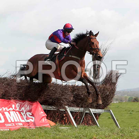 Cilliseal , 2nd, Jockey - M J O'Hare - CU2D4604-e