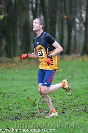 2 Mark Wright (53 ) Annadale Striders 17:06