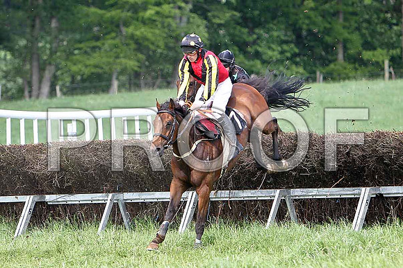 Fourth Race - Giuliana (7) Fell, Rider P C Greeves - CU2D9623-e