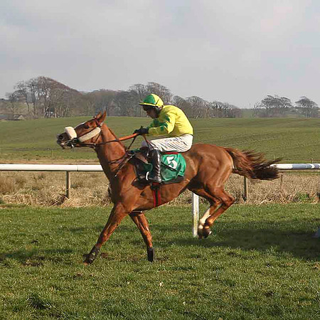 Brave Beauty - Winner, Jockey P Carberry - CU2D3690-e