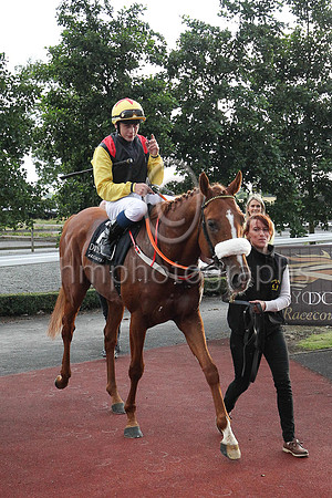 01st The Tartan Spartan  Ronan Whelan (7, black, red epaulettes) Trainer John Patrick Shanahan, Owner Thistle Bloodstock Limited