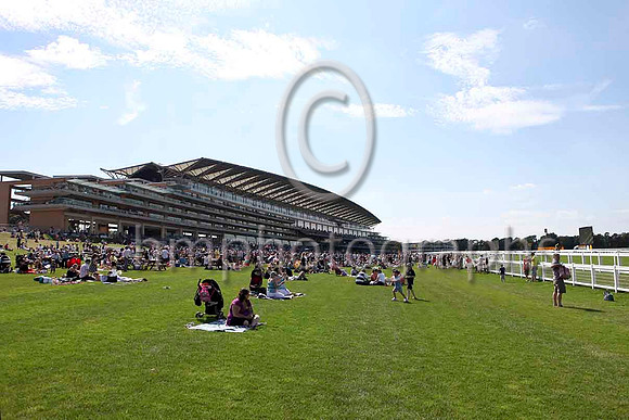 Ascot - IMG_9916-e