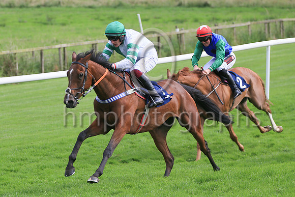 01st Another Choice (1 , green and white hlvs ) Jockey: Paul Townend , Trainer: Matthew J Smith