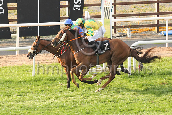 New Sodiety and Sorcha Woods (1, royal blue, emerald green chevron ) in the lead to win the Molson Coors Beverage Company Apprentice Handicap at Down Royal on Friday 23rd July 2021