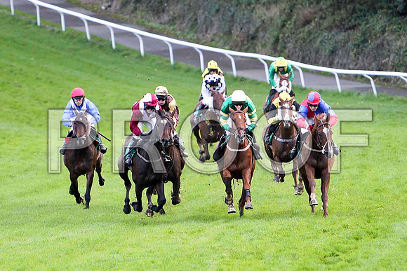 Robertstown Rover - 2nd from left leads - winner - FT8E5042-e